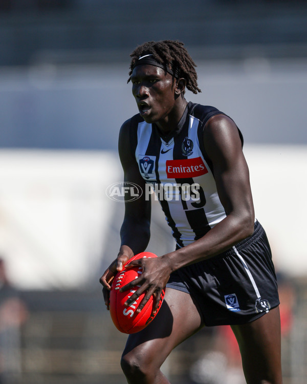 VFL 2025 Round 01 - Collingwood v Sydney - A-57999759