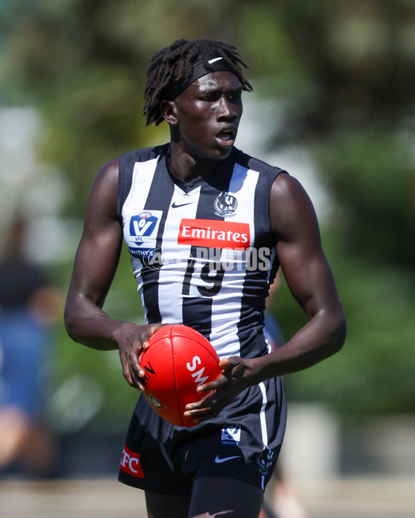 VFL 2025 Round 01 - Collingwood v Sydney - A-57999788