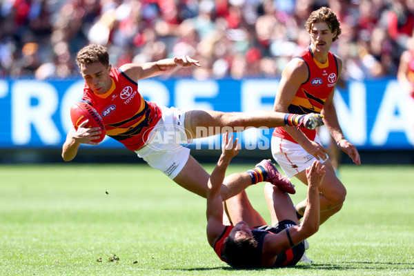 AFL 2025 Round 02 - Essendon v Adelaide - A-58001984