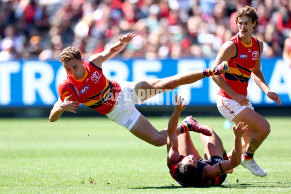 AFL 2025 Round 02 - Essendon v Adelaide - A-58001985