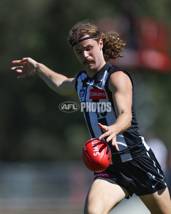 VFL 2025 Round 01 - Collingwood v Sydney - A-58002017