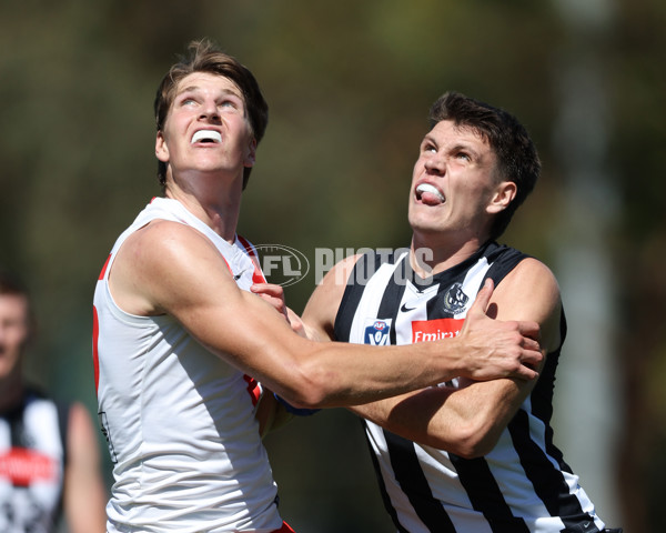 VFL 2025 Round 01 - Collingwood v Sydney - A-58002019