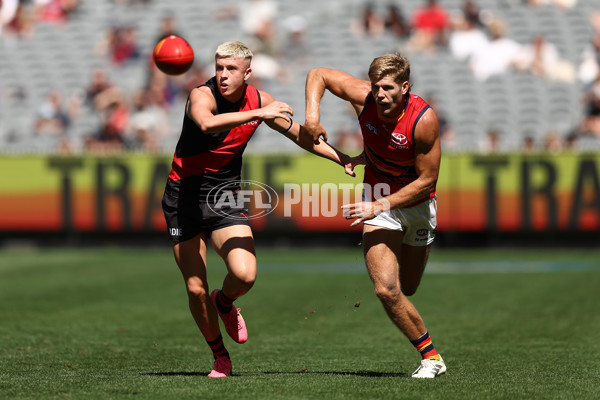 AFL 2025 Round 02 - Essendon v Adelaide - A-58002061