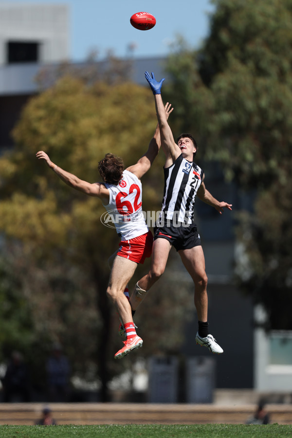 VFL 2025 Round 01 - Collingwood v Sydney - A-58002803