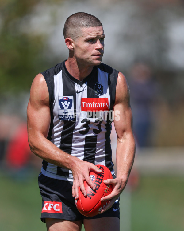 VFL 2025 Round 01 - Collingwood v Sydney - A-58005625