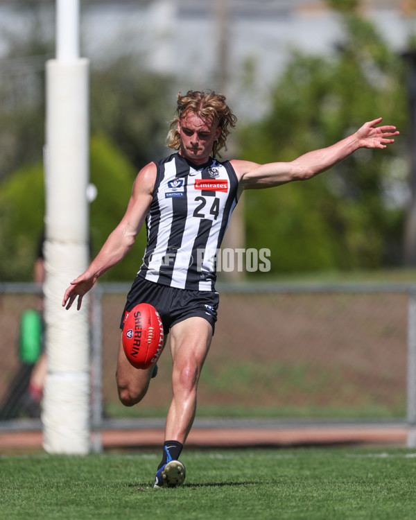 VFL 2025 Round 01 - Collingwood v Sydney - A-58005626