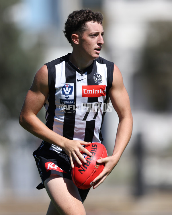 VFL 2025 Round 01 - Collingwood v Sydney - A-58005629