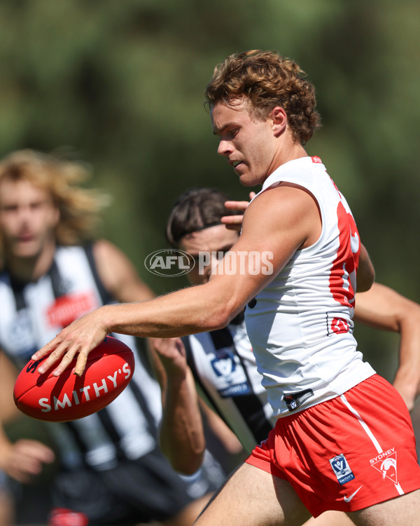 VFL 2025 Round 01 - Collingwood v Sydney - A-58008216