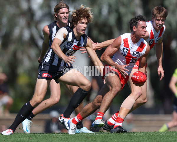 VFL 2025 Round 01 - Collingwood v Sydney - A-58008221