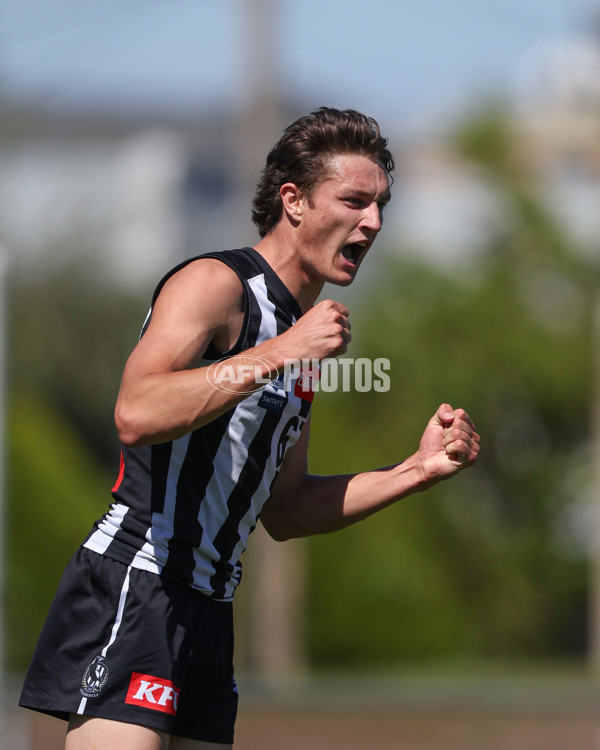 VFL 2025 Round 01 - Collingwood v Sydney - A-58008223