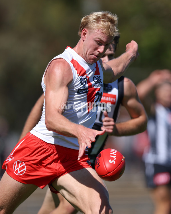 VFL 2025 Round 01 - Collingwood v Sydney - A-58008224