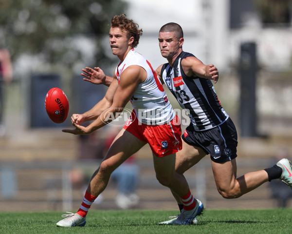 VFL 2025 Round 01 - Collingwood v Sydney - A-58008228