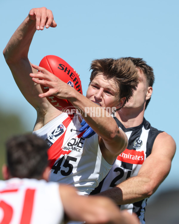 VFL 2025 Round 01 - Collingwood v Sydney - A-58008229