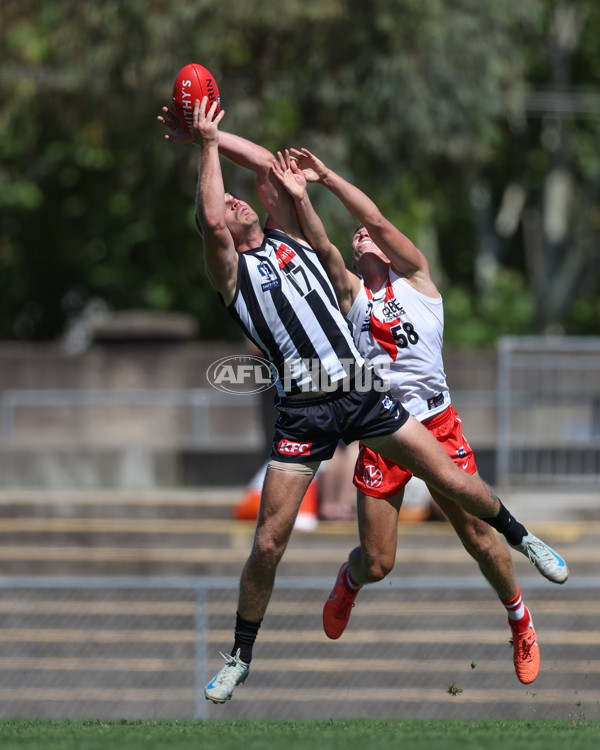 VFL 2025 Round 01 - Collingwood v Sydney - A-58008230