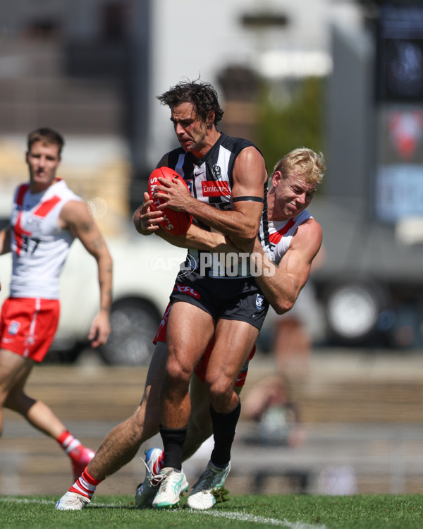 VFL 2025 Round 01 - Collingwood v Sydney - A-58008231