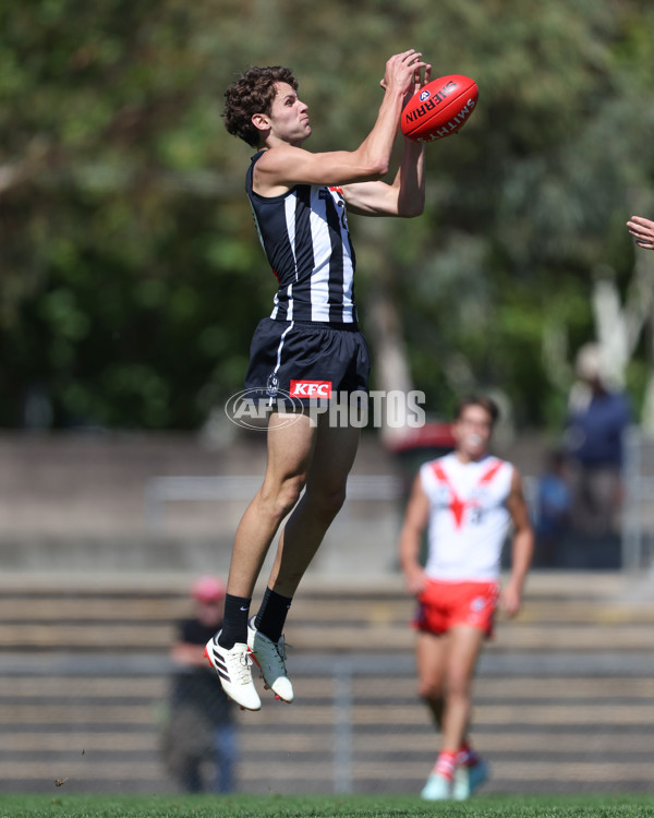 VFL 2025 Round 01 - Collingwood v Sydney - A-58008238