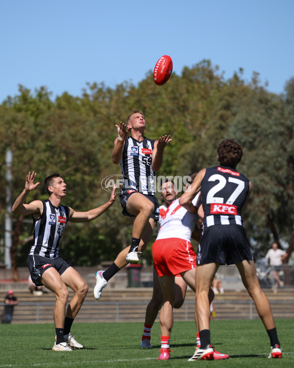 VFL 2025 Round 01 - Collingwood v Sydney - A-58010621