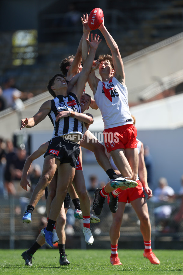 VFL 2025 Round 01 - Collingwood v Sydney - A-58010625