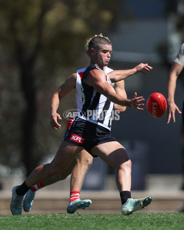 VFL 2025 Round 01 - Collingwood v Sydney - A-58011686