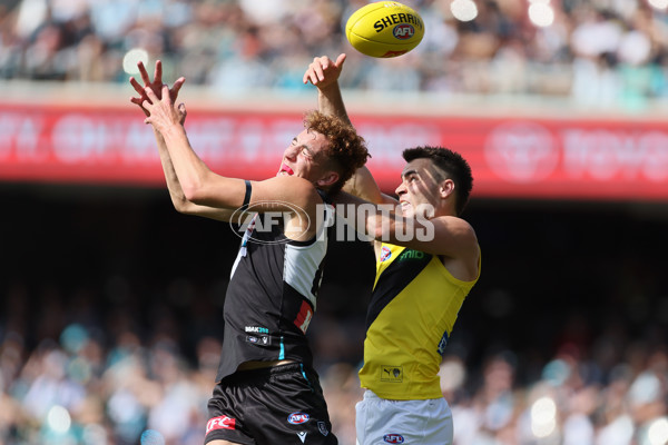 AFL 2025 Round 02 - Port Adelaide v Richmond - A-58011695