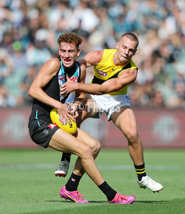 AFL 2025 Round 02 - Port Adelaide v Richmond - A-58011717