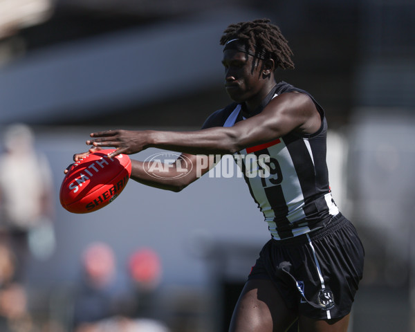 VFL 2025 Round 01 - Collingwood v Sydney - A-58011731