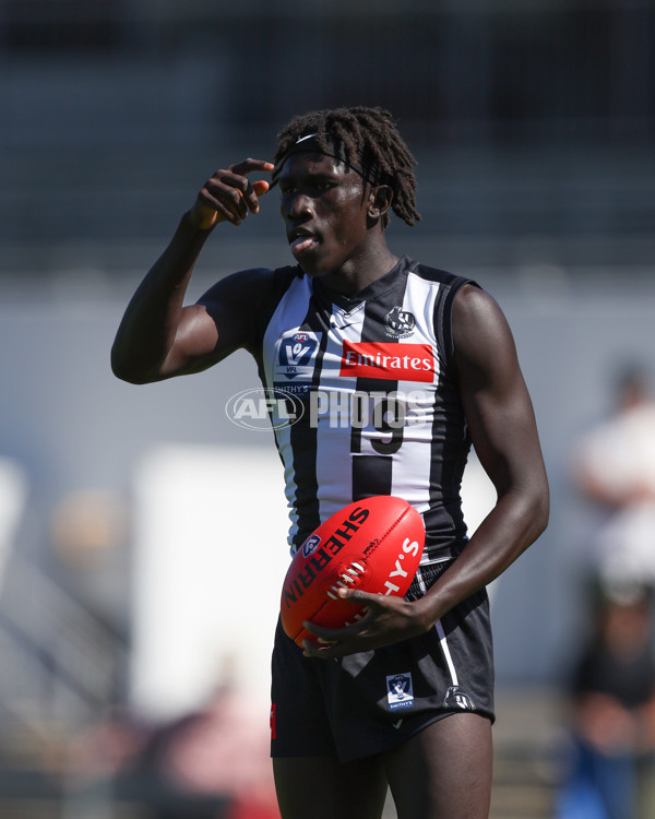 VFL 2025 Round 01 - Collingwood v Sydney - A-58011733