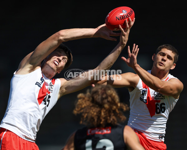 VFL 2025 Round 01 - Collingwood v Sydney - A-58011735