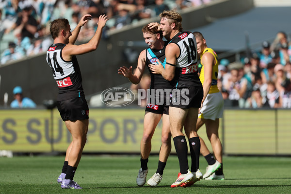 AFL 2025 Round 02 - Port Adelaide v Richmond - A-58011749