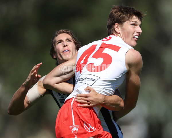 VFL 2025 Round 01 - Collingwood v Sydney - A-58013194