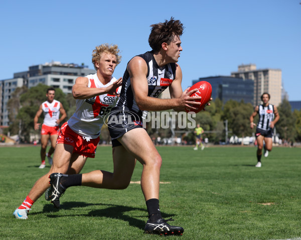 VFL 2025 Round 01 - Collingwood v Sydney - A-58013195