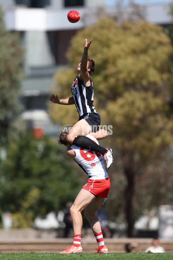 VFL 2025 Round 01 - Collingwood v Sydney - A-58013228