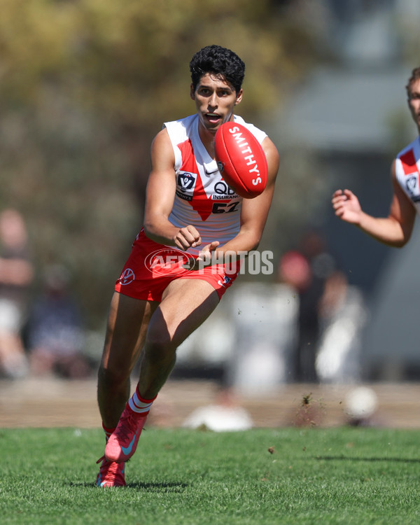 VFL 2025 Round 01 - Collingwood v Sydney - A-58013229