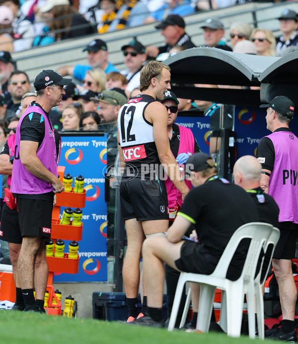 AFL 2025 Round 02 - Port Adelaide v Richmond - A-58013287