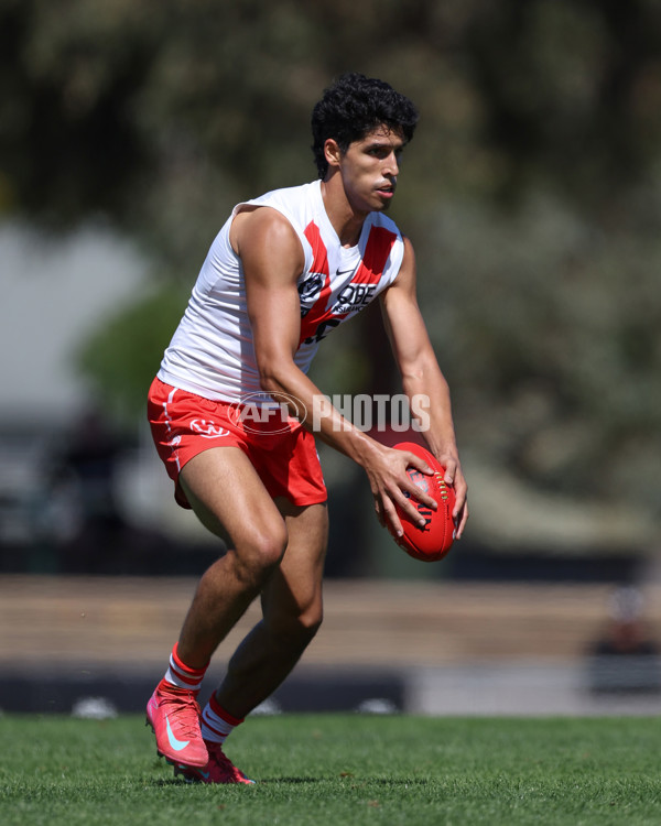 VFL 2025 Round 01 - Collingwood v Sydney - A-58014401