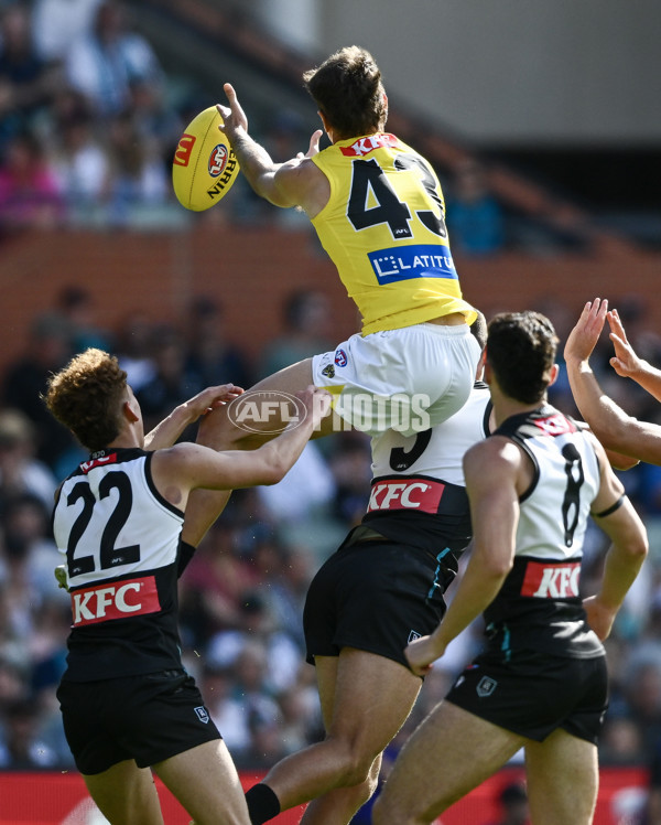 AFL 2025 Round 02 - Port Adelaide v Richmond - A-58014404