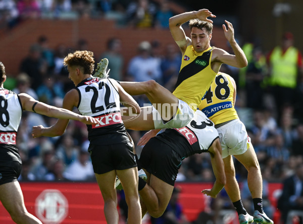 AFL 2025 Round 02 - Port Adelaide v Richmond - A-58014406