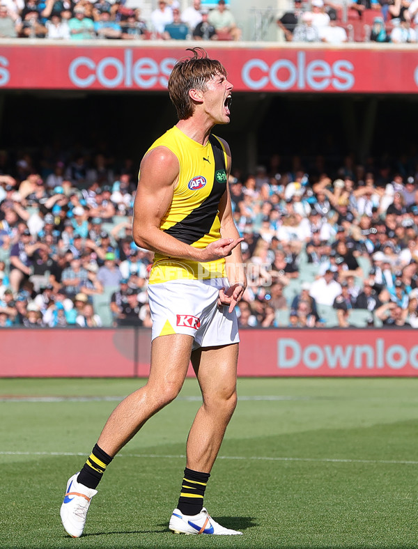 AFL 2025 Round 02 - Port Adelaide v Richmond - A-58014416