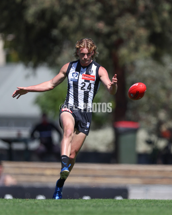 VFL 2025 Round 01 - Collingwood v Sydney - A-58014458