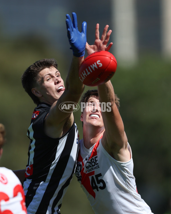 VFL 2025 Round 01 - Collingwood v Sydney - A-58014461