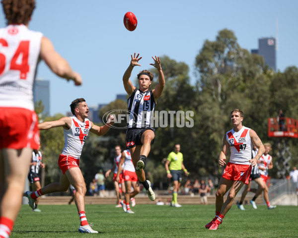 VFL 2025 Round 01 - Collingwood v Sydney - A-58014462