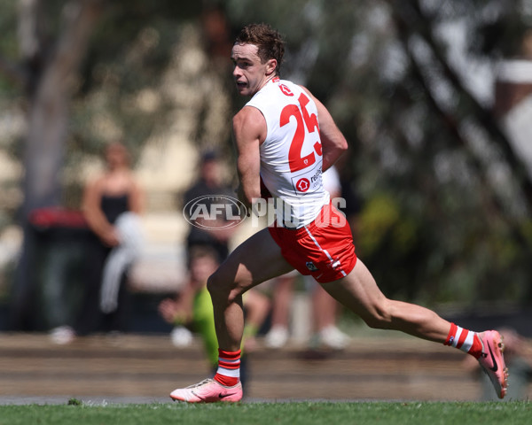 VFL 2025 Round 01 - Collingwood v Sydney - A-58014464