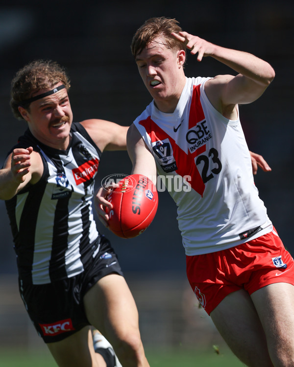 VFL 2025 Round 01 - Collingwood v Sydney - A-58014465