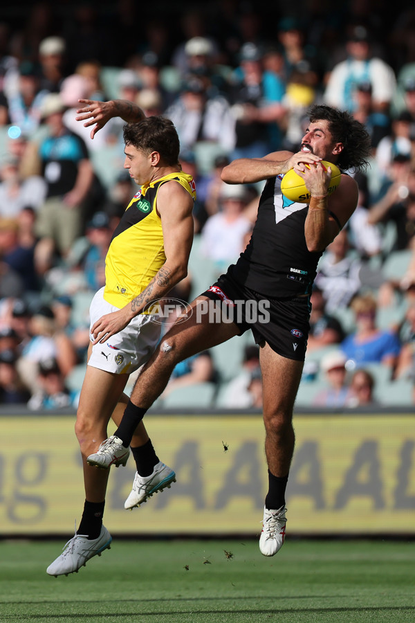 AFL 2025 Round 02 - Port Adelaide v Richmond - A-58014484
