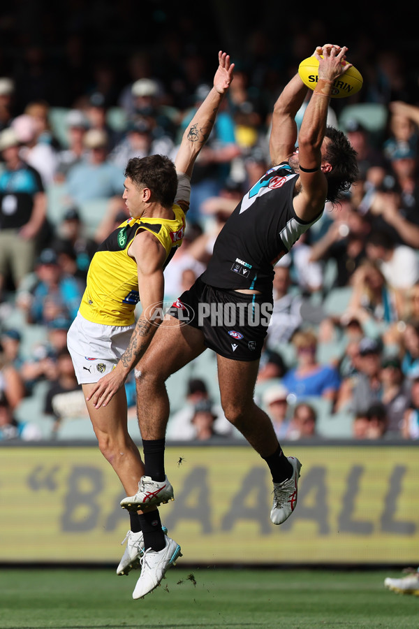 AFL 2025 Round 02 - Port Adelaide v Richmond - A-58014485