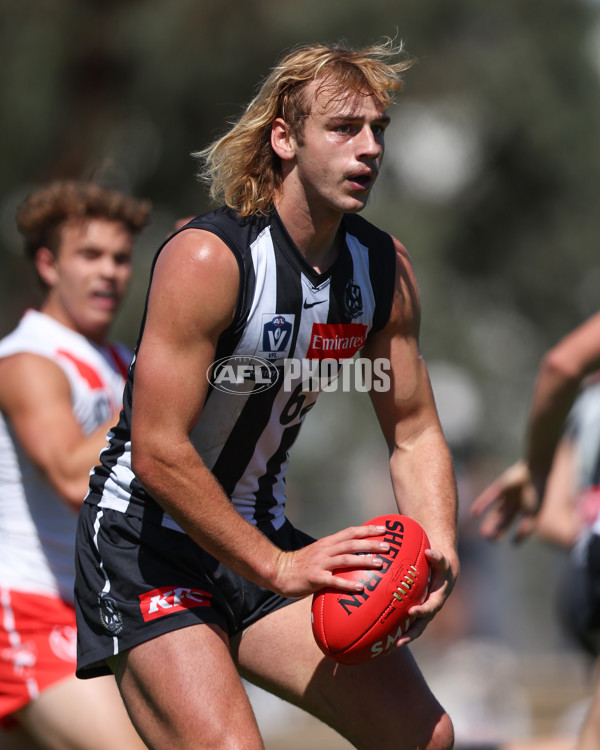 VFL 2025 Round 01 - Collingwood v Sydney - A-58015721