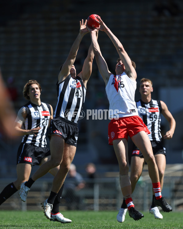 VFL 2025 Round 01 - Collingwood v Sydney - A-58015803