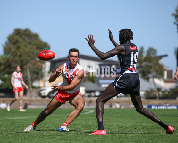 VFL 2025 Round 01 - Collingwood v Sydney - A-58015806