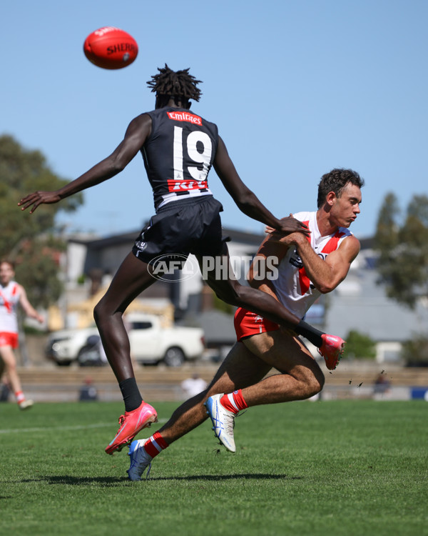 VFL 2025 Round 01 - Collingwood v Sydney - A-58015808