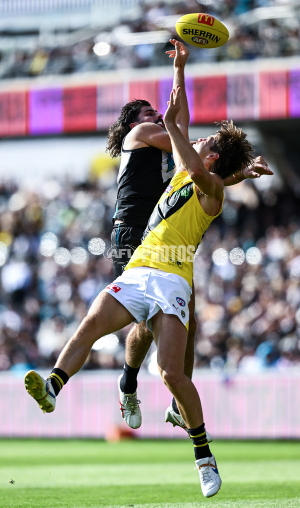 AFL 2025 Round 02 - Port Adelaide v Richmond - A-58016934